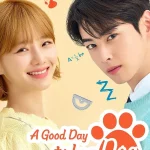 A Good Day to be a Dog S01 (Complete) | Korean Series