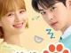 A Good Day to be a Dog S01 (Complete) | Korean Series