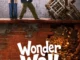 Wonder Wall  | Chinese Series